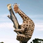 황정남,황정음,<b>잔돈</b>건봐라