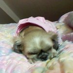 사랑하는 아기를 보내려합니다