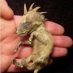 잠을안자는아이