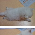 12월28일 입대한 남친이 남기고간것들♡