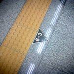 혼자 <b>동물원</b>에 가기 :)....