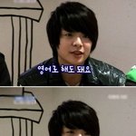 f(x) <b>엠버</b>의 닮은꼴들 모음