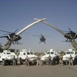 '민간군사회사들'(pmfs)