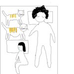 평범하지 않은 우리집 고양이들-사진有