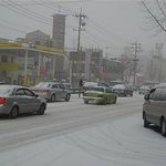 2010년, 마주치고 싶지 않은 꼴불견 운전자들