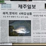 나 신문에낫음~''ㅋ