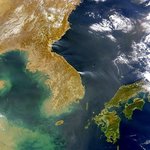 세계가 보는 대한민국