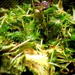 일본 유학男 한국요리 도전기