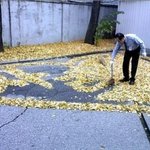 [사진有]아파트 경비 할아버지 너무 <b>감동</b>이에요