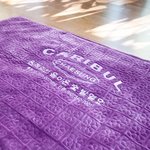 고맙게 잘 사용하는 겨울지킴이,<b>카리</b>불 전기매트