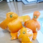 (有)그냥.. 인터넷에.. 귀여운 귤 사진이 있길래..(사진有)