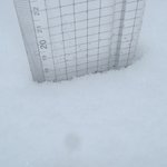 <b>봉지</b>신발로 옥상에서 눈사진을 찍었습니다.