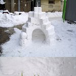 우리동네 <b>이글루</b> [사진有]
