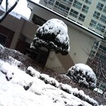 <b>청담동</b>스키? 질수없뜸 집앞에서스키탐