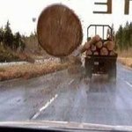<b>황당</b>한 엽기 사고 모음 ㄷㄷㄷㄷ