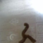 라면에서 이물질나왔는데 어떡해야할까요 ..ㅜㅜ