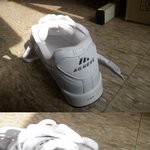 한국에서... <b>대륙</b>의 나이키 당했어요.