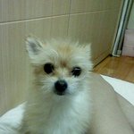서울시 송파구 문정동 로데오거리에서 2010년 1월2일 오전10시정도에