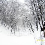 <b>뒷산</b>에....눈...