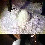 <b>동심</b>으로 ㅎ.ㅎ