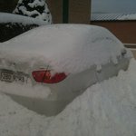 제설작업 <b>동참</b> 못한 직원의 최후