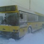 40년만의 <b>폭설</b>이라는 서울, 하지만 우리는 매년...