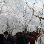 <b>눈</b>으로 만든 동화 <b>속</b> 환상의 세계로~ 2010 태백산눈축제!