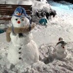 팟사진有 폭설로 왕대박 오징어 이글루만들었어요ㅋ