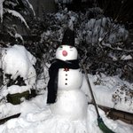 친구들과 만든 눈사람 대작.