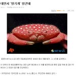 [속보] <b>대만</b>에서 "딸기계" 발견..
