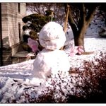 100만년만에 온 <b>폭설</b>....가만이 있을 수 없죠잉?사진有