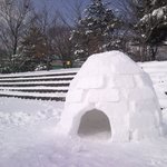 서울대 짜가 이글루 <b>저리</b>가라!!  진짜 이글루는 이런 것이다~