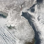 한반도 <b>폭설</b> 위성사진.... 부산의 위엄.jpg