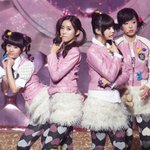 티아라 보립보립