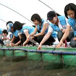 기업의 <b>사회활동</b>이란..