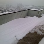 눈 온 다음날의 훈훈한 이야기