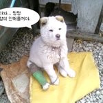 <b>아오</b>.... 이거 억울해서 살것습니까?