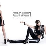 개성이 넘치는 <b>2ne1</b> 멤버들사진모음