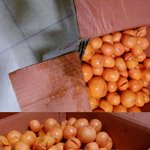 사진有)대한*운택배 이따위로 배달하나요ㅡㅡ