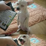 우리가족치치차차입니다^^