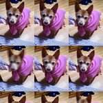 18년동안 함께했던 나의 친구야.. 잘가....