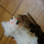 삼각김밥에서 <b>벌레</b> 나왔어요 망할 젠장-_-..