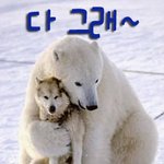 ㅋ완벽해보이는 연예인들도 별거없어~ 다그래ㅋㅋㅋㅋ