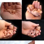 아기모양 <b>설탕</b>과자입니다 너무 깜찍하죠?