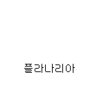 <b>자작</b>이지툰 플라나리아