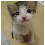 이거 멘사퀴즈에서 나왔던거;;;(수정)