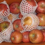 <b>one</b>로택배 정말 억울하고 화가 나네요(사진有)