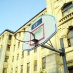 대학을 포기했습니다...