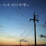 어디가~
