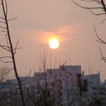 정기우의 <b>본체</b> 마지막 태양과 마야족의  2012 종말설 근거